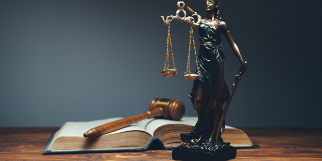 Mezery v možnostech obhajoby